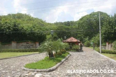 125.000$ lot in private development plantation acres for sale