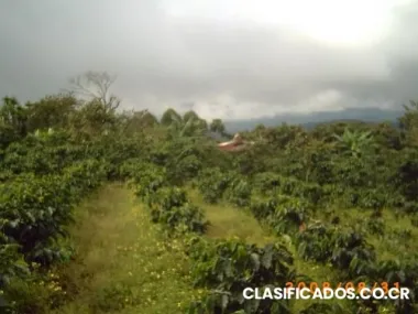 25328 mt2 lot in naranjo, alajuela/$354.592