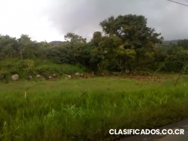 300m2, lote plano, en calle principal