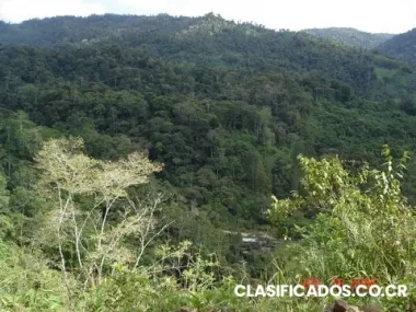 342.5 hects. farm in the upper part of the banks of the rio pacure, turrialba, cartago ...
