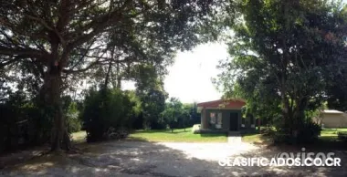 Alquiler de "la casita de café" para fiestas de palmares!