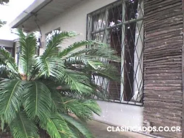 Alquilo habitacion a estudiante mujer