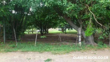 Alquilo lote comercial lindora