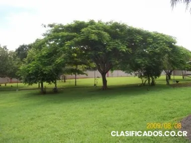 Alquilo, vendo o cambio quinta en la playa
