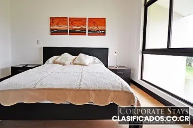 Amoblado y lujoso apartamento