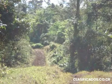 Bella finca de 17 has. 230000$ o segrego 14000 por ha.