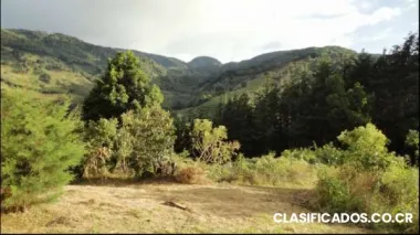 Bello lote con gran vista, ubicado en en copey dota, ideal para construccion de cabaña.