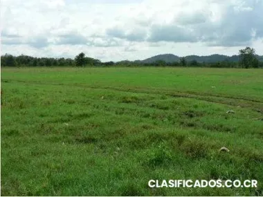 Busco en los chiles zona norte fincas cerca de la frontera con nicaragua.