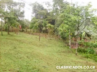 Cambio este lote por dos automoviles