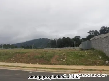 Cartago tobosi lotes