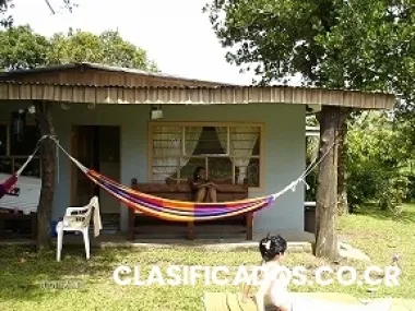 Casa guacimo limon #15