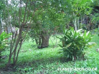 Ciudad colo lotes y casas