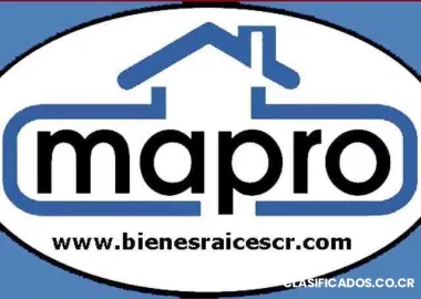 Cliente busca finca con cultivo de coco o pipa para comprar