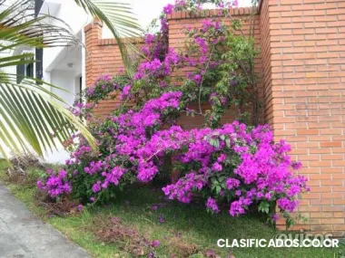 Dueño vende clínica médica en los yoses