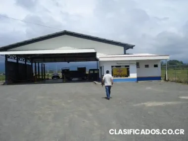 Empresa de servicios en mecánica rápida