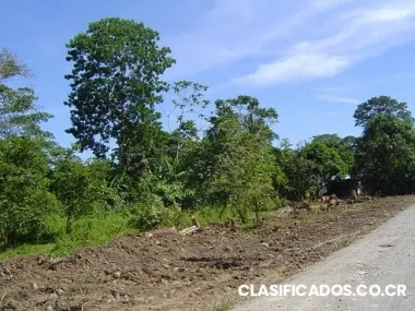 Finca agricola o para recreo