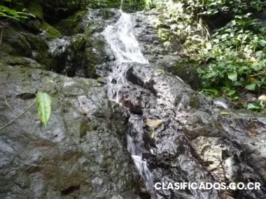 Finca de 35 hectareas