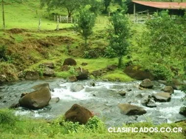 Finca en guatuso, alajuela