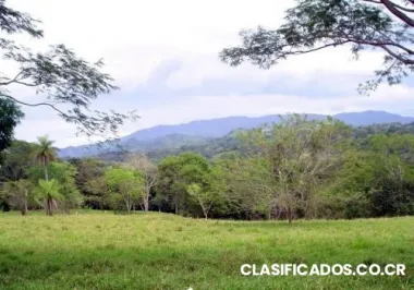 Finca (farm/ranch) miramar, puntarenas, costa rica