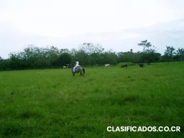 Finca, fines turisticos, forestales, agricolas o ganaderos.