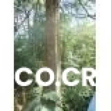 Finca y madera a la venta