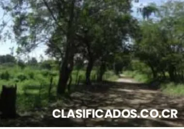 Fincas sta.cruz guanacaste #12