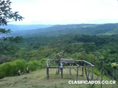 Ganga!! finca en turrialba de 2 hectareas. 1200 arboles de pino. $50.000.00 5 cataratas.