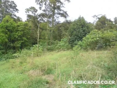 Ganga vendo finca de 2.5 hectareas en 15 millones