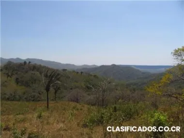 Gran oferta de lotes con vista al mar