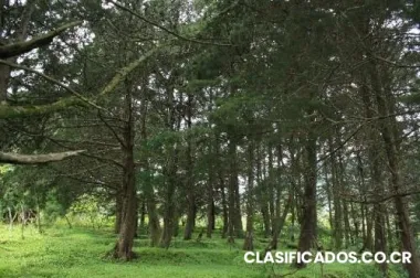 Hermosa propiedad en san antonio de escazu