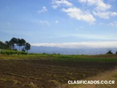 Hermosa propiedad en san antonio de escazu