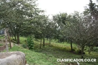 Hermosos terrenos en san antonio, escazú