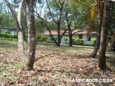 Le gusta la naturaleza... vendo- cambio