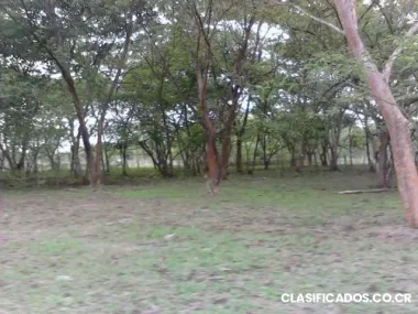 Linda propiedad en abangares de 19800 metros