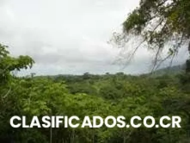 Linda propiedad en estrellitos de 72.7 hectareas