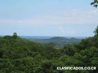 Linda vista al mar avellanas