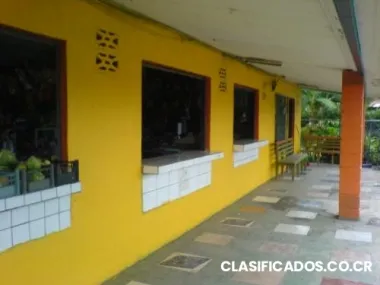 Local en alquiler o venta incluye lote y vivienda