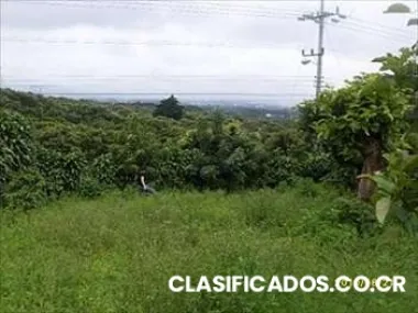 Lote #52 concepcion de san rafael