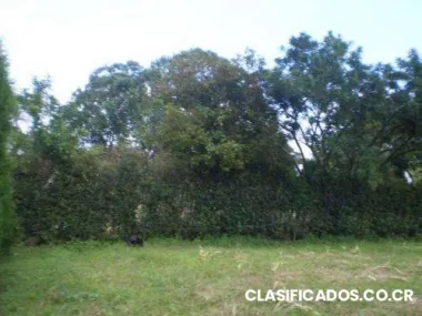 Lote 81 concepcion san rafael heredia