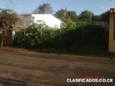 Lote alajuela centro 28 millones