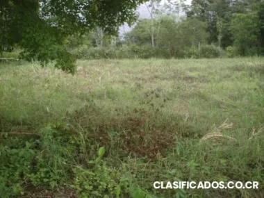 Lote barato para bono