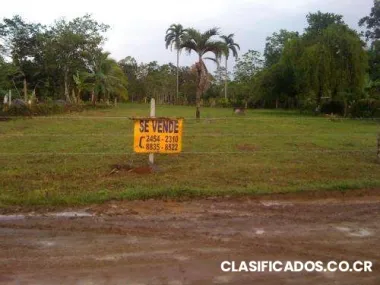 Lote de 2430 m en 9 millones en cariari de guapiles