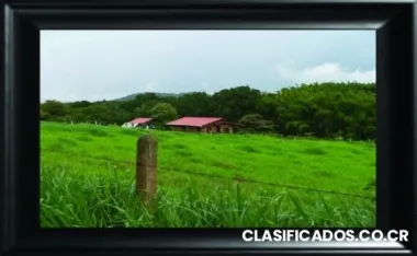 Lote en atenas vendo