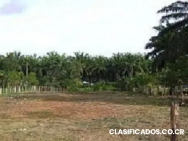 Lote en el pacifico central para desarroyo de viviendas.