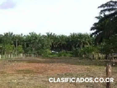 Lote en el pacifico central