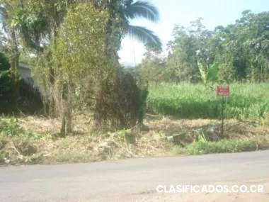 Lote en guapiles centro