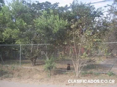 Lote en liberia muy cerca del aeropuerto, con malla