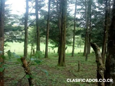 Lote en los angeles san rafael heredia