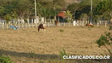 Lote en venta en ciudad colón $1.409,600/san josé