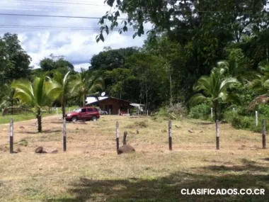 Lote frente a pista sarapiqui 1000m2